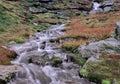 A mountain stream in the Strynefjellet Mountains in Norway that flows from the Skjerdingdalsbreen Glacier