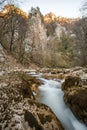 Mountain stream swift among rocks, coniferous pine forest, blurry water movement, close-up, vertical frame