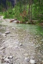 Mountain stream in Tatra Mountains. Stone and gravel in river. Water scenery Royalty Free Stock Photo