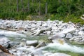 Mountain stream in Tatra Mountains. Stone and gravel in river. Water scenery Royalty Free Stock Photo