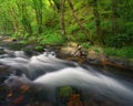 A mountain stream undulates its waters between mossy boulders and native forests Royalty Free Stock Photo