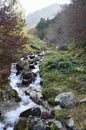 Mountain stream in the valey dÃ¯Â¿Â½Ossau in Bearn, Atlantic Pyrenees