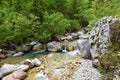 Mountain stream in valle Riofreddo