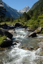 Torrent in the French Pyrenees