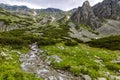 Mountain stream. A view of a mountain stream in National Park High Tatras Royalty Free Stock Photo