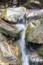 Mountain stream water flow with green moss on stones background. River cascade with rocks. Royalty Free Stock Photo