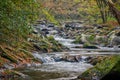 Mountain stream with mossy rocks Royalty Free Stock Photo