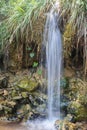 mountain stream waterfall with silk effect Royalty Free Stock Photo