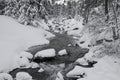 Mountain stream in winter forest Royalty Free Stock Photo