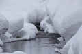 Mountain stream in winter,Japan Royalty Free Stock Photo