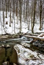 Mountain stream in winter scenery. Prowcza Stream, Bieszczady National Park, Carpathian Mountains, Poland. One of the most popular Royalty Free Stock Photo