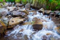 Mountain stream creek in the stones and green grass banks in mountain forest Royalty Free Stock Photo