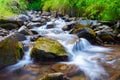 Mountain stream creek in the stones and green grass banks in mountain forest Royalty Free Stock Photo