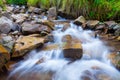 Mountain stream creek in the stones and green grass banks in mountain forest Royalty Free Stock Photo