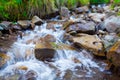 Mountain stream creek in the stones and green grass banks in mountain forest