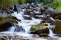 Mountain stream creek in the stones and green grass banks in mountain forest Royalty Free Stock Photo