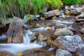 Mountain stream creek in the stones and green grass banks in mountain forest Royalty Free Stock Photo