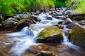 Mountain stream creek in the stones and green grass banks in mountain forest Royalty Free Stock Photo