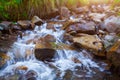 Mountain stream creek in the stones and green grass banks in mountain forest Royalty Free Stock Photo