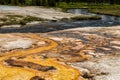 Mountain Stream, Yellowstone National Park