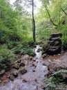 Mountain streamlet in the forest, stones in the water Royalty Free Stock Photo