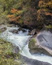 Mountain streams in late autumn.