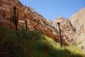 Mountain streams and vegetation in Malakot Mountain oasis tourist site. Dahab, South Sinai Governorate, Egypt