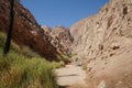 Mountain streams and vegetation in Malakot Mountain oasis tourist site. Dahab, South Sinai Governorate, Egypt