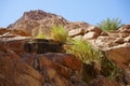 Mountain streams and vegetation in Malakot Mountain oasis tourist site. Dahab, South Sinai Governorate, Egypt