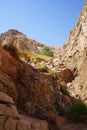 Mountain streams and vegetation in Malakot Mountain oasis tourist site. Dahab, South Sinai Governorate, Egypt