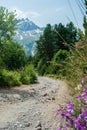 Mountain summer landscape, alpine meadows, Caucasus mountains