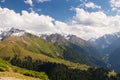 Mountain summer landscape. Snowy mountains and green grass. Peak Karakol Kyrgyzstan Royalty Free Stock Photo