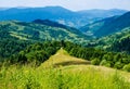 Mountain summer landscape. trees near meadow and forest on hills