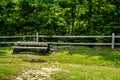 Mountain summer landscape. trees near meadow and forest on hills