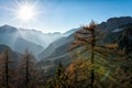 Mountain Sunset - panoramic view