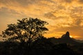 Mountain Sunset With Silhouetted Pine Tree.Thailand.