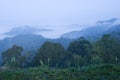 Mountain in Thailand Royalty Free Stock Photo