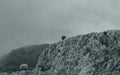 Mountain top in Corfu Greece with dramatic fog and a lone tree. Royalty Free Stock Photo