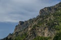 Mountain top of eagle`s rock overgrown with coniferous forest and glade of Rila mountain Royalty Free Stock Photo