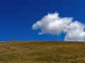 Mountain top grass meadow and bright blue hot summer sky with cloud above. Background. Royalty Free Stock Photo