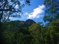 Mountain top between lush green forest against blue sky Royalty Free Stock Photo