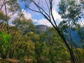 Mountain top between lush green forest against blue sky Royalty Free Stock Photo