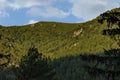 Mountain top overgrown with high trees, rock and glade of Rila mountain