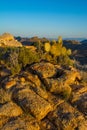 Mojave Desert Mountain Top Royalty Free Stock Photo