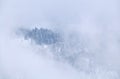 Mountain top in winter fog