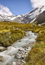 Mountain torrent near Mount Cook Royalty Free Stock Photo