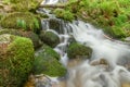 Mountain torrent in the Vosges