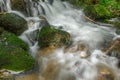 Mountain torrent in the Vosges