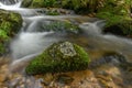 Mountain torrent in the Vosges