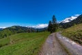 Mountain tour along the Alpenfreiheit premium trail near Oberstaufen